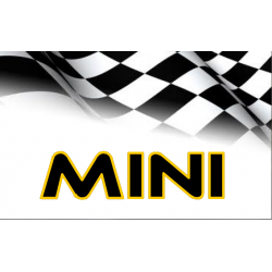 Carrera Mini